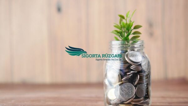 Eskisehir BES Bireysel Emeklilik Plani Eskişehir bireysel emeklilik (BES) planlaması ve %30 devlet katkısı avantajı